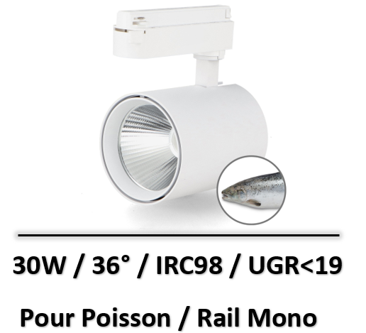 spot-led-rail-poisson