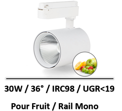 spot-led-sur-rail-fruit