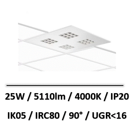amigo-36-in-lighting