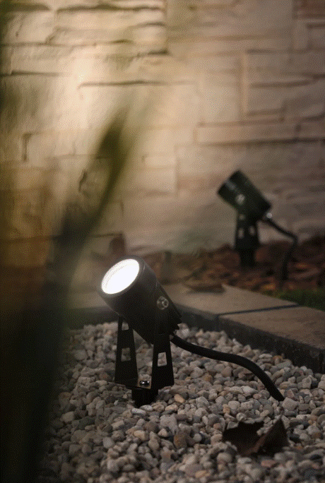 Capture d’écran 2025-02-25 165613