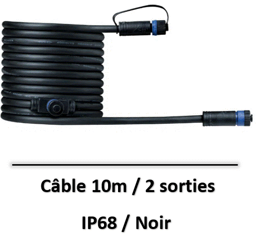 Câble 10m 2 sorties