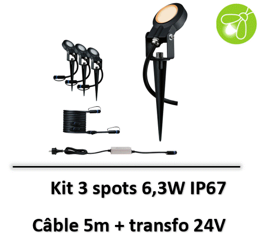Sting Kit de base favorable aux insectes