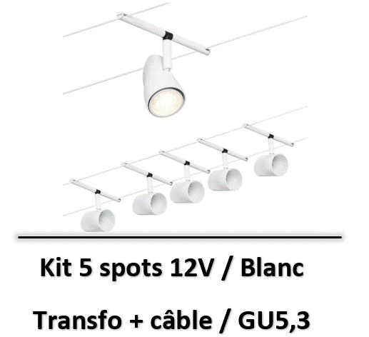 spot-led-sur-cable-paulmann-blanc