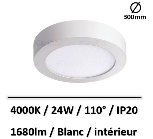 spot-blanc-saillie