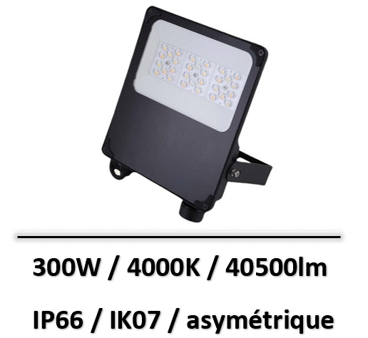 camus-300W-electra
