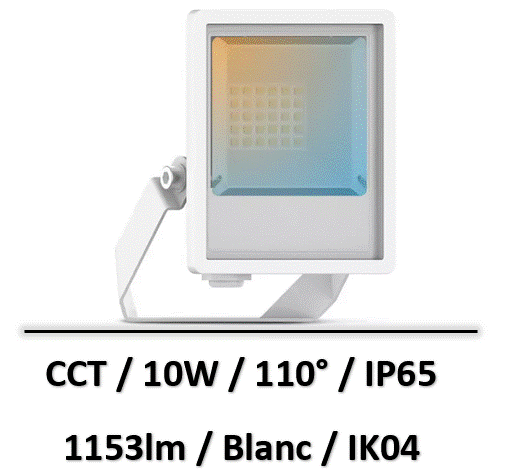 Projecteur LED Blanc 10W CCT IP65