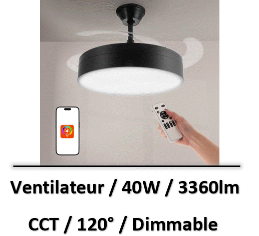 ventilateur-de-plafond-2