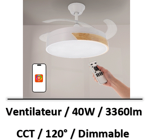 ventilateur-de-plafond