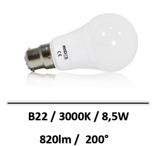 B22-8W