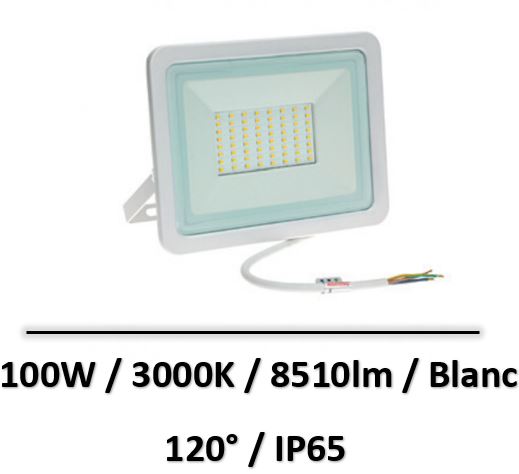 projecteur-blanc-100W