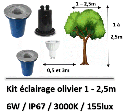 eclairage-olivier
