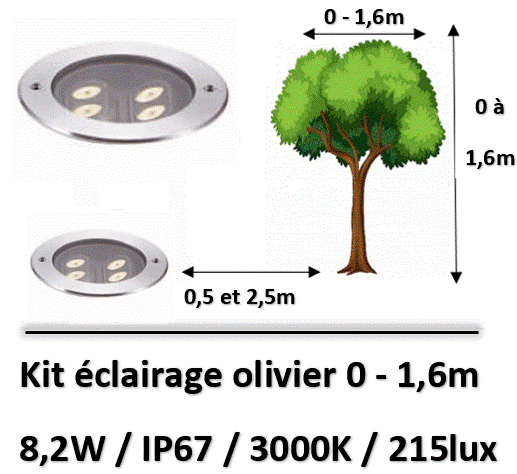 eclairage-olivier-led