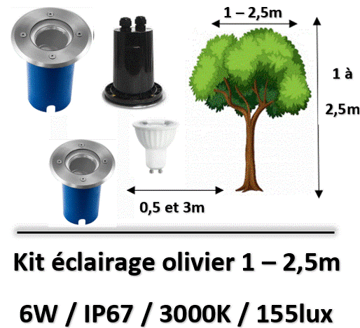 eclairage-olivier