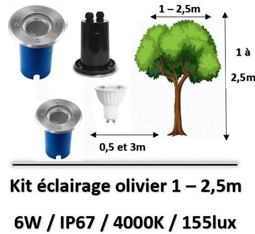 eclairage-olivier-led