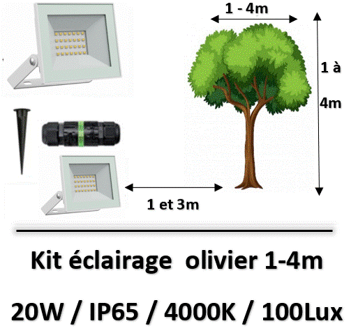ECLAIRAGE-olivier