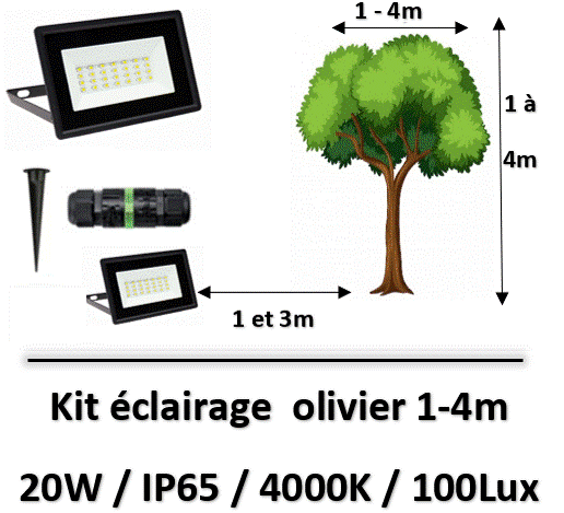 eclairage-led-olivier