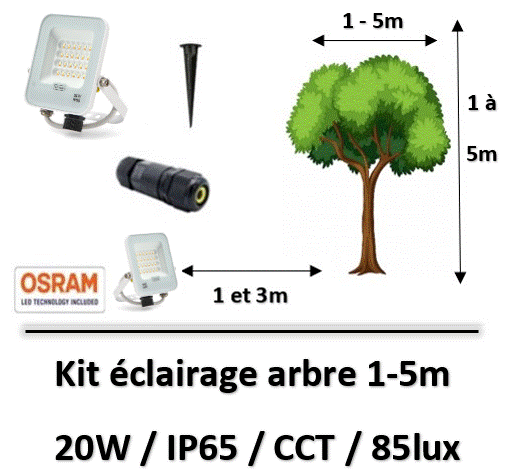 eclairage-arbre