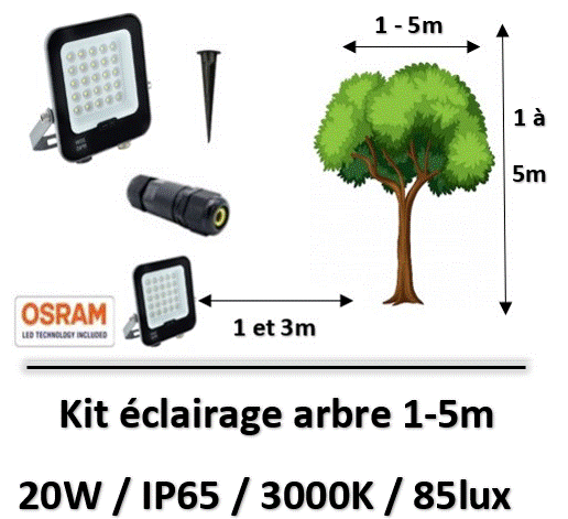 eclairage-arbre