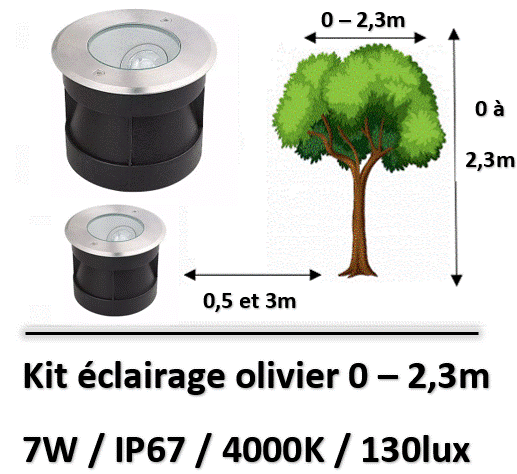 eclairage-olivier