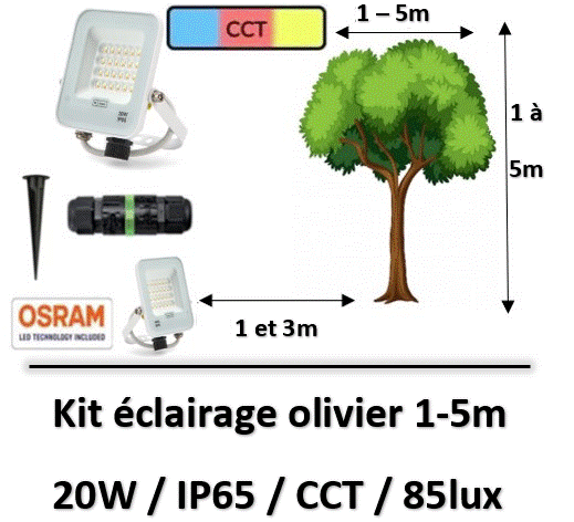 eclairage-led-olivier