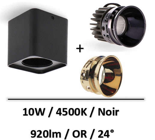 spot-led-saillie-or