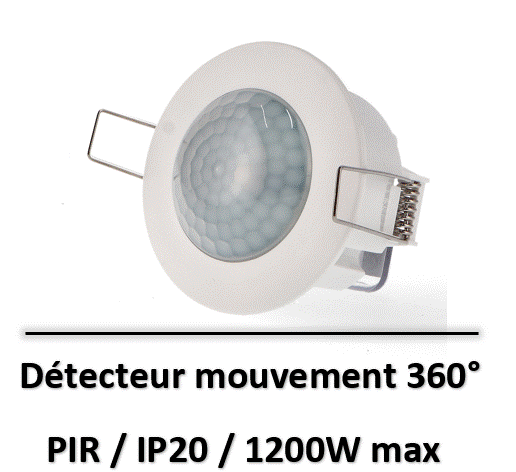 detecteur-mouvement