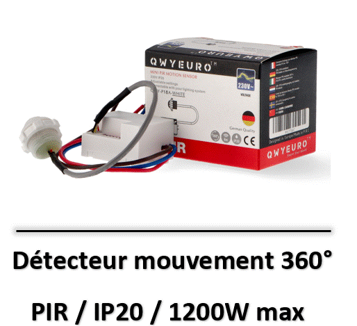 detecteur-mouvement