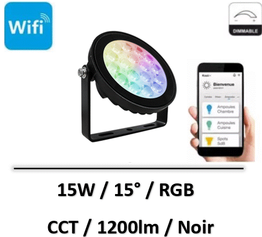 spot-led-noir