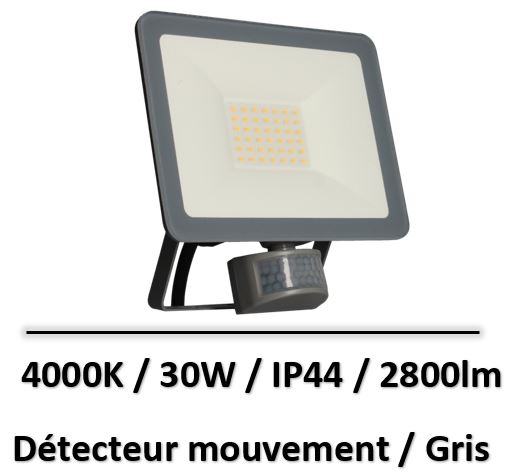 projecteur-30w-gris-plat-detecteur