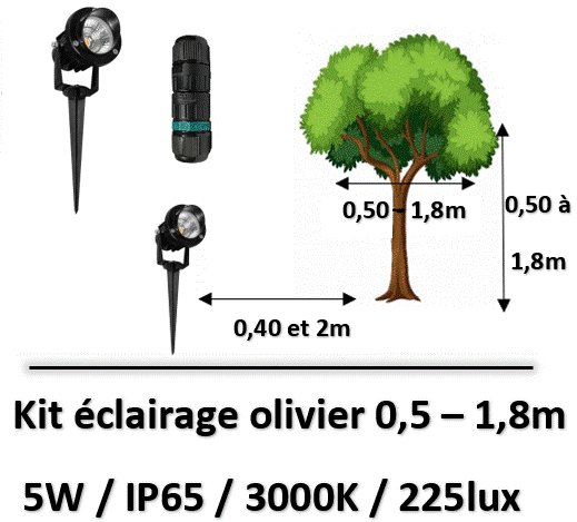 eclairage-olivier-led
