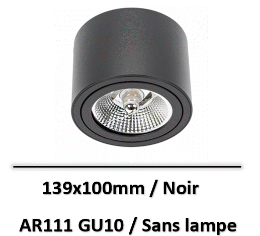 spot-AR111-orientable