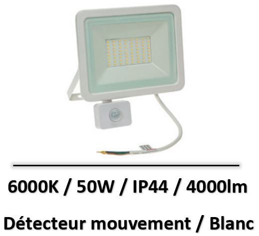 projecteur-blanc-50W-detecteur-6000K
