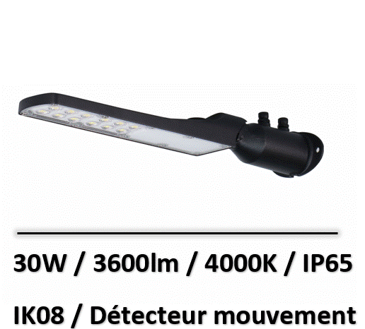 lampadaire-avec-detecteur