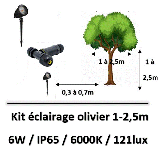 eclairage-olivier-led