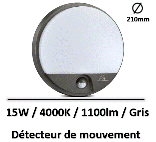 Capture d’écran 2025-04-03 081733