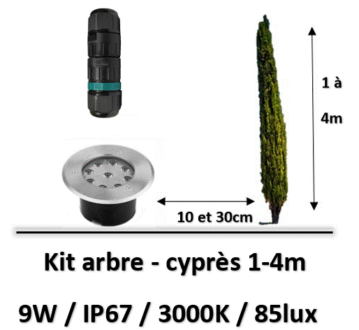 eclairage-arbre
