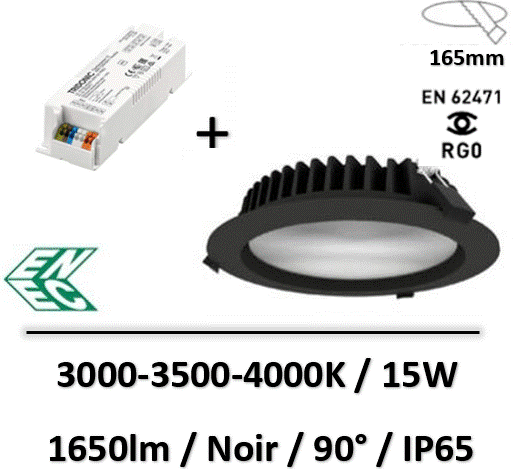 spot-saillie-lited