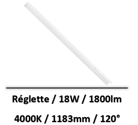 reglette-spectrum