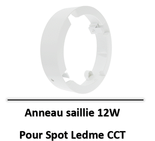 Capture d’écran 2025-04-05 013441