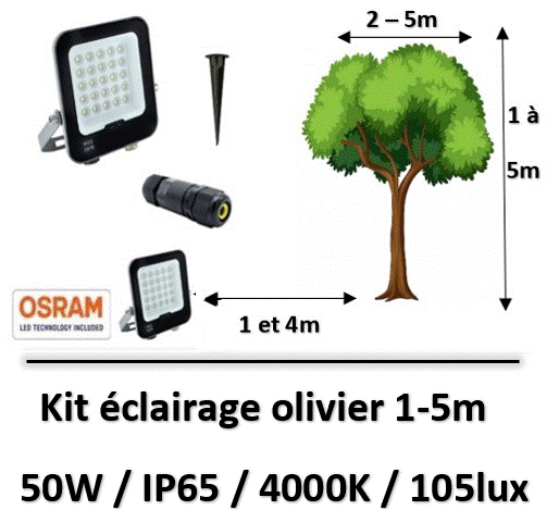 eclairage-olivier-led