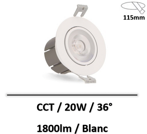 spot-CCT-20W