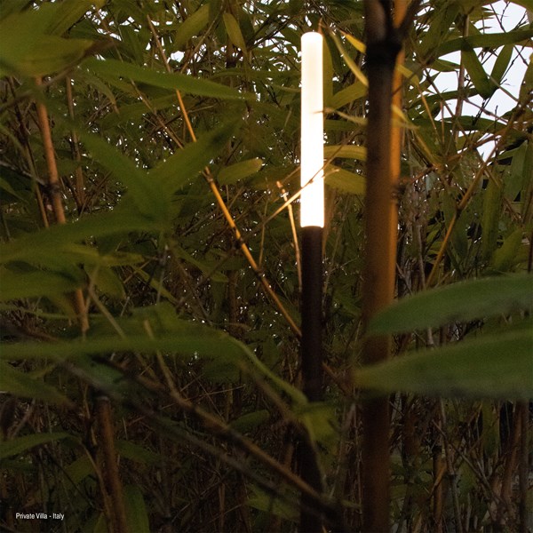 REA_AMB-1