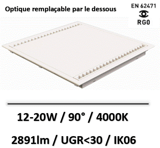 thalassa-lited