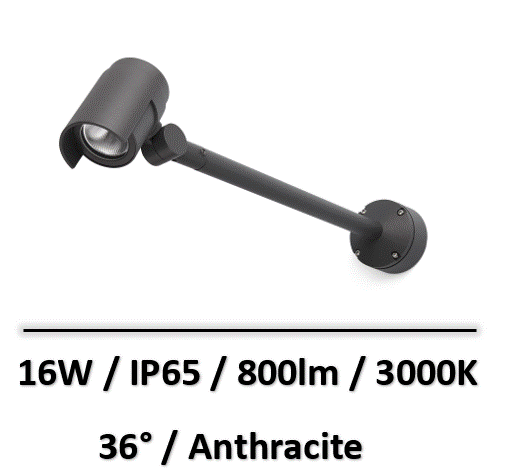FOC580