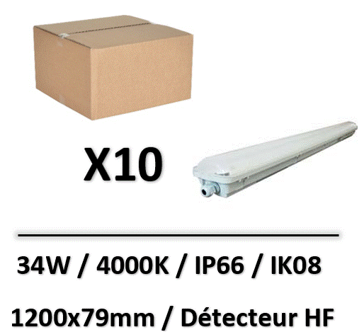 pure-line-lebenoid