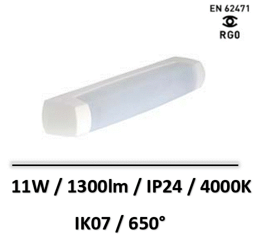 55331-eo-lebenoid