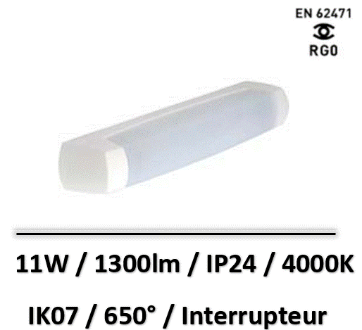 eo-lebenoid