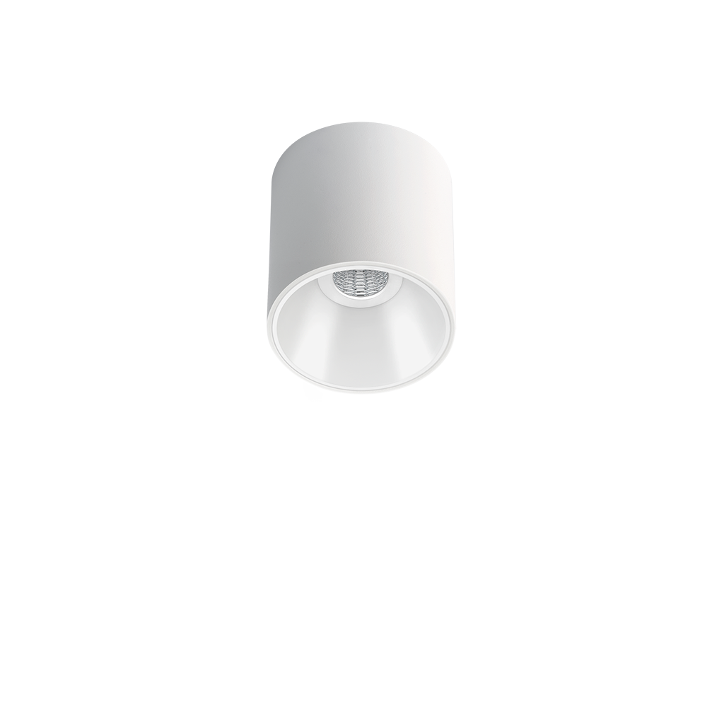01-202307-shotlight_s_surface-001-WTW