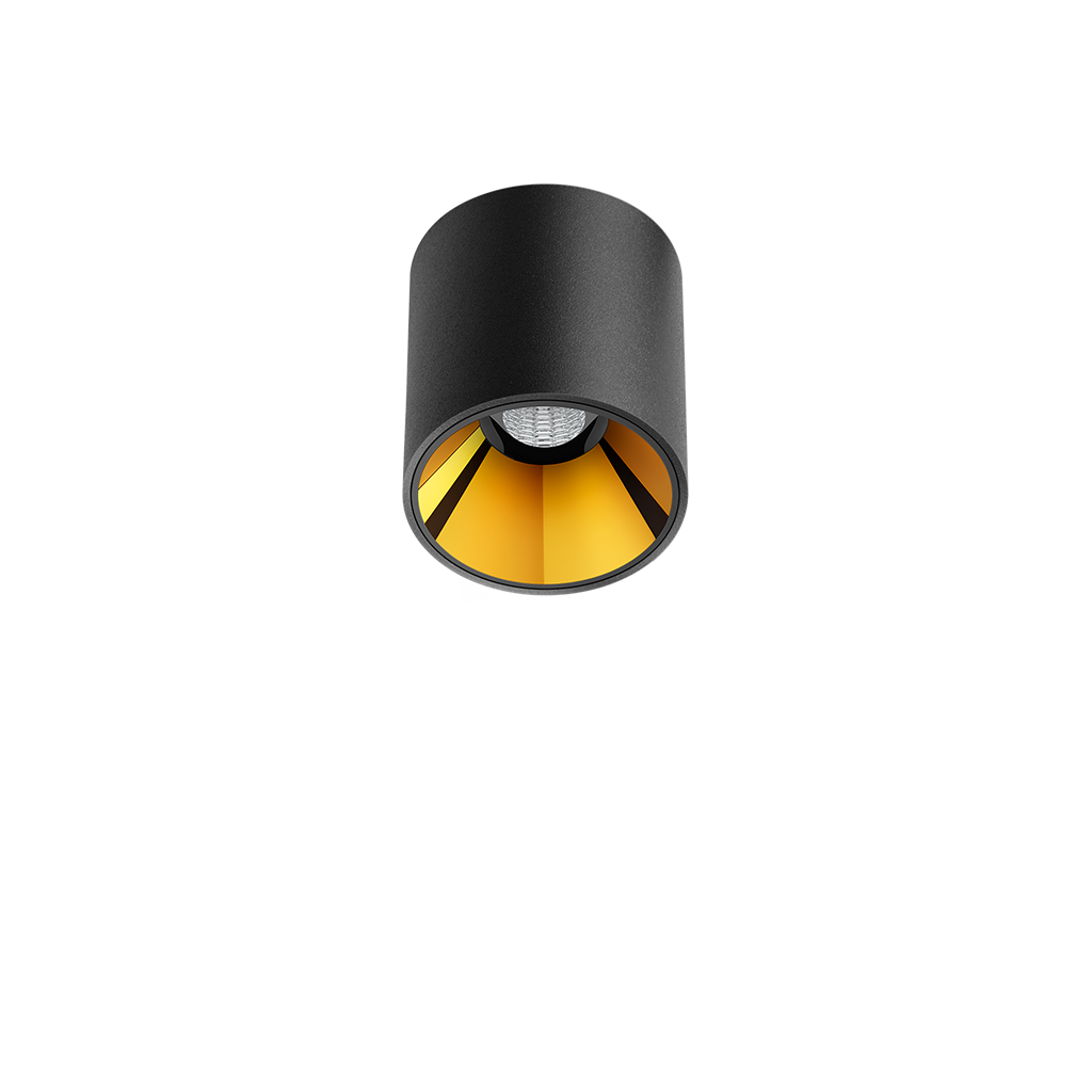 01-202307-shotlight_s_surface-001-NTMG