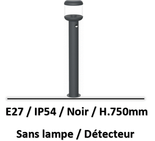 borne-avec-detecteur